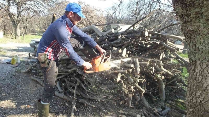 Burhaniye’de zeytin odununa talep arttı
