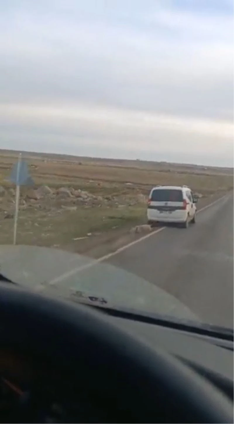 Aracın arkasına bağladıkları koyunu sürükleyerek götürdüler

