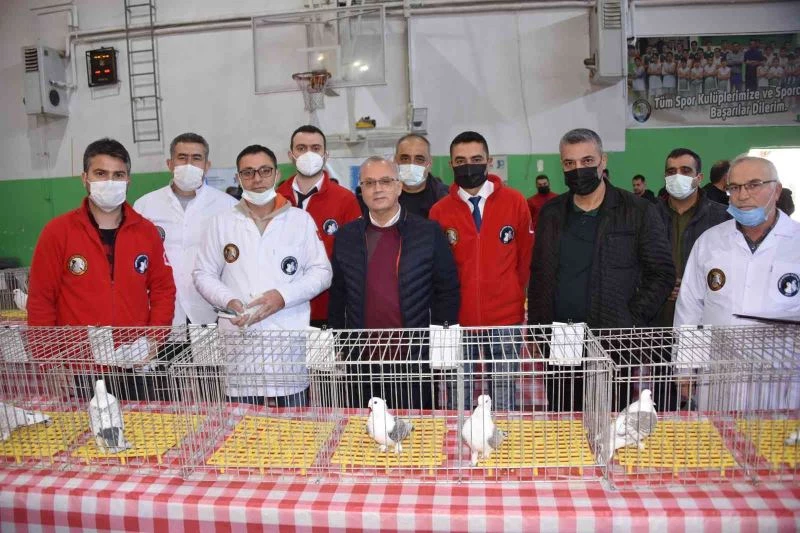 En güzel Hünkari güvercinler Salihli’de yarıştı
