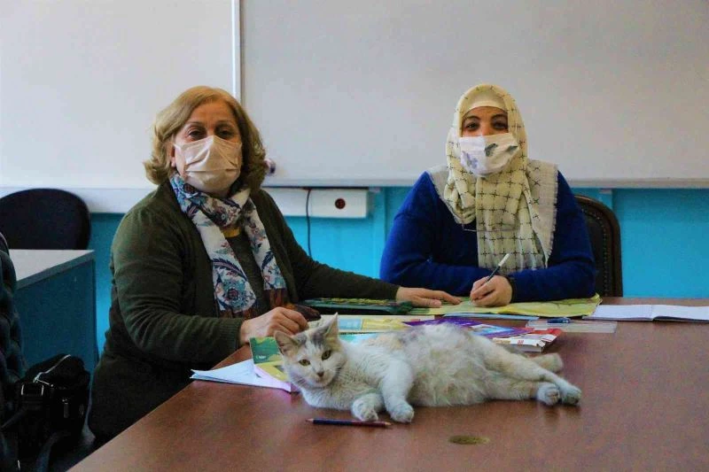 Okuma-yazma kursunun ‘Şans’lı kedisi
