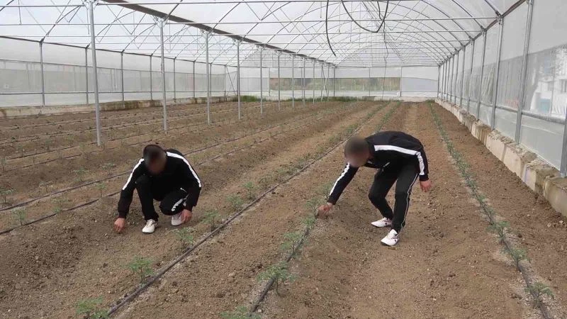 Uyuşturucu bağımlıları Huzur Köy’de yeniden hayata tutunuyor
