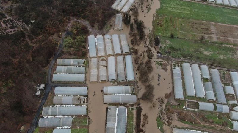 (Güncelleme) İBB’nin köprü inşaatı yarıda kaldı, derenin taşmasıyla seralar su altında kaldı
