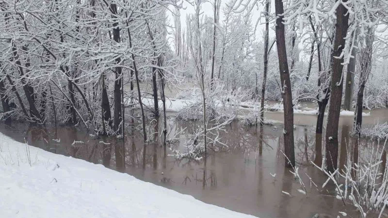 Konya’da tarım arazilerinde su baskını
