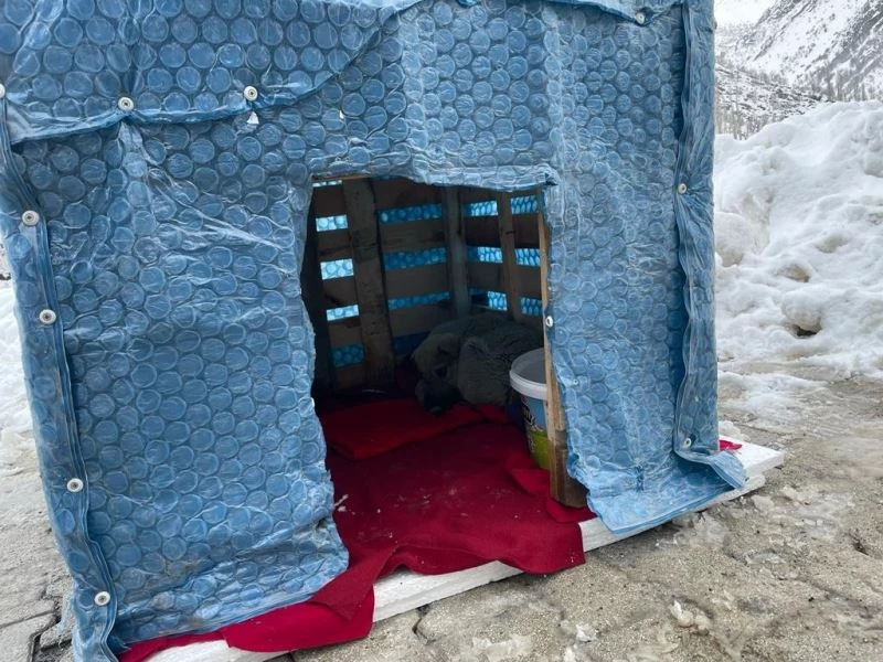 Şırnak’ın Uludere ilçesinde güvenlik güçleri sokak hayvanlarına kulübe bıraktı
