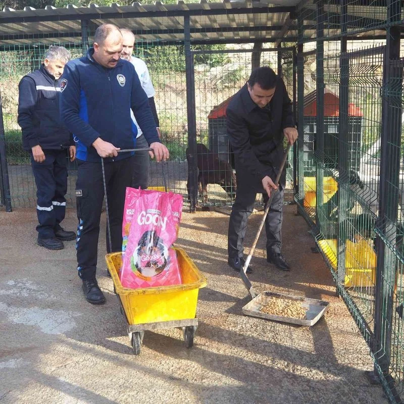 Başkan Kaçar’dan rehabilitasyon ve besleme alanında inceleme
