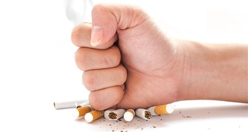 Sigara bırakmanın alternatifi patlıcan olarak gösteriliyor