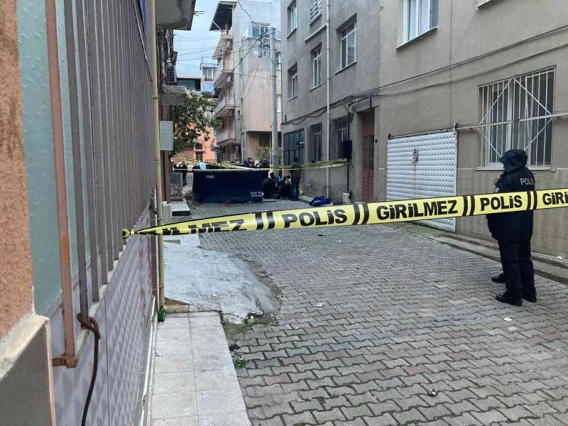 Asma ağacını budarken düşerek hayatını kaybetti
