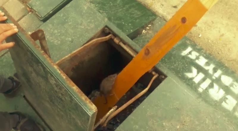 Yeraltı çöp konteynerinde mahsur kalan fare için seferber oldular
