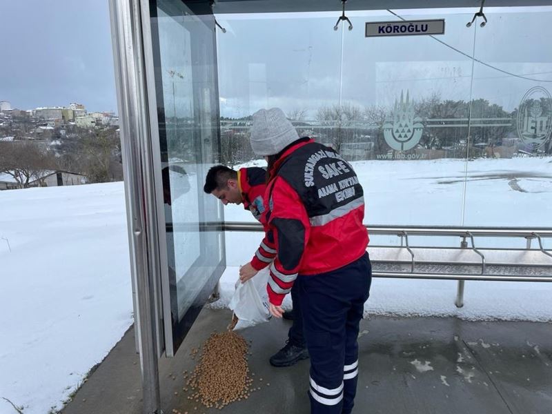 Sultangazi Belediyesi ekipleri karla mücadeleyi dört bir yandan sürdürüyor
