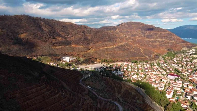Doğa dostu bisikletçiler yanan ormanlar için pedal çevirip fidan dikecek
