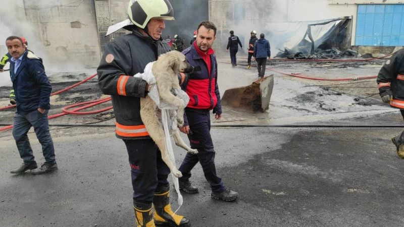 Şanlıurfa’daki sünger fabrikasında büyük yangın
