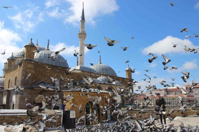 Yozgat esnafının ilk müşterileri güvercinler oluyor
