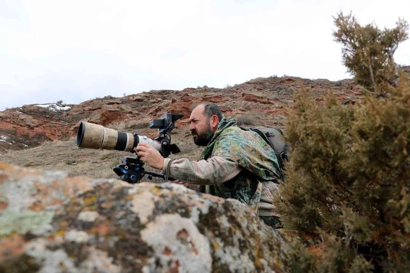 Ormanın hayaletini görüntülemek için 250 saatlerini harcadılar
