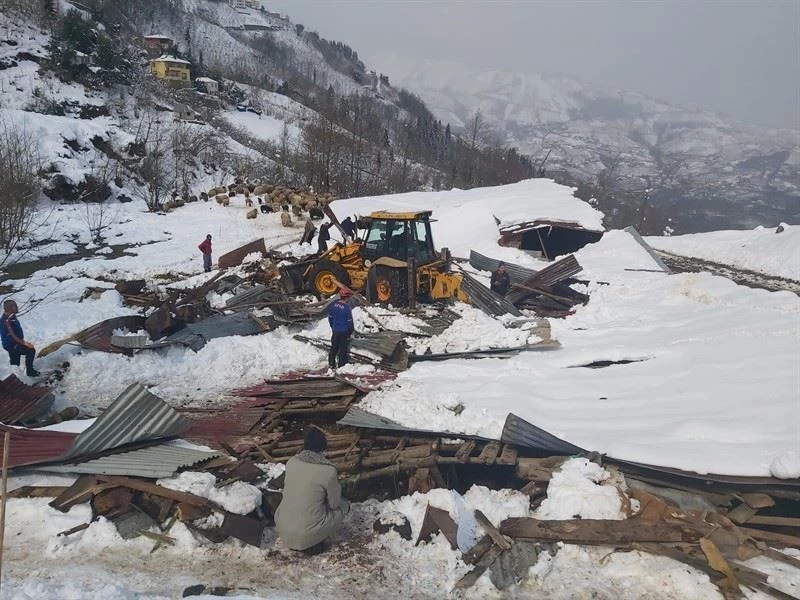 Yoğun kara dayanamayan ahırın çatısı çöktü, 5 koyun telef oldu
