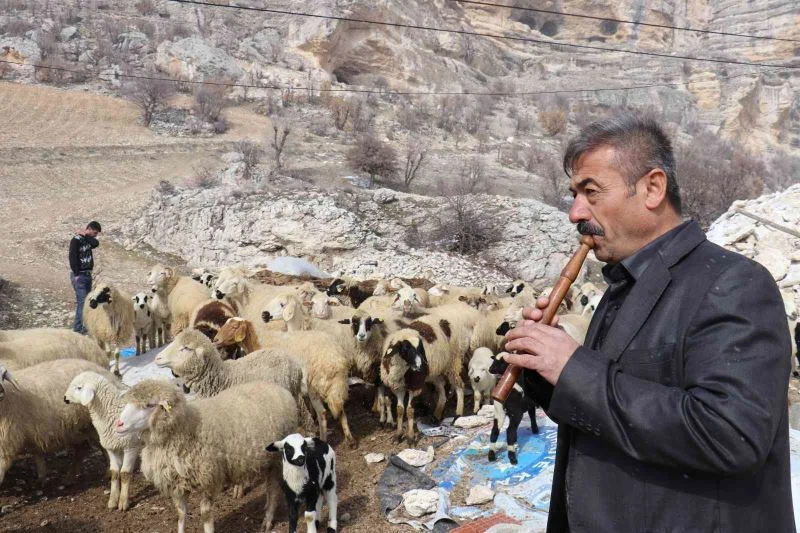 Bin 700 metre rakımdaki sürülerin kaval keyfi
