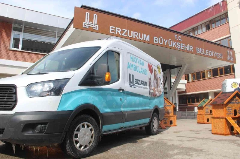 Bu da hayvan ambulansı
