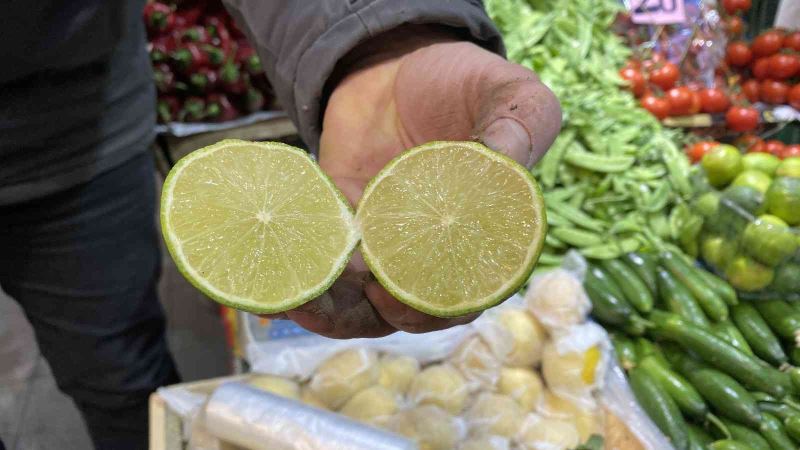 Oteller kasa kasa alıyor, lime limonuna talep yoğun
