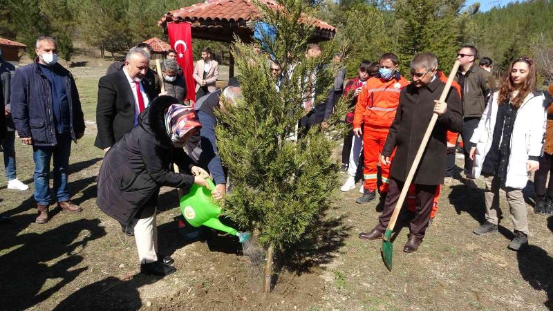 Bu fidanlar şehitlerin adıyla büyüyecek
