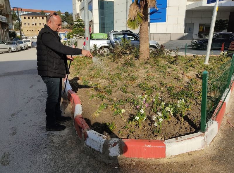 Samandağ’da çevre düzenlemesi çalışmaları
