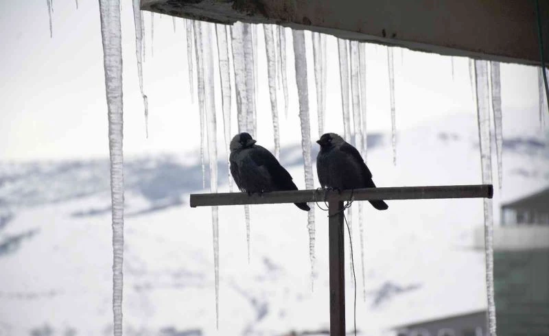 Çatılarda 2 metrelik buz sarkıtları oluştu
