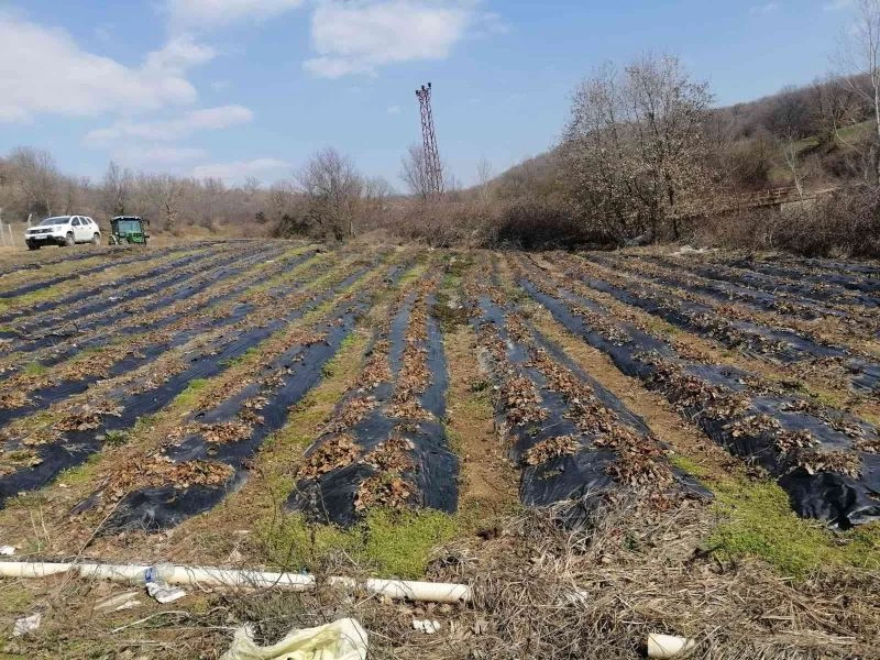 Kırklareli’nde üreticiler bilgilendiriliyor
