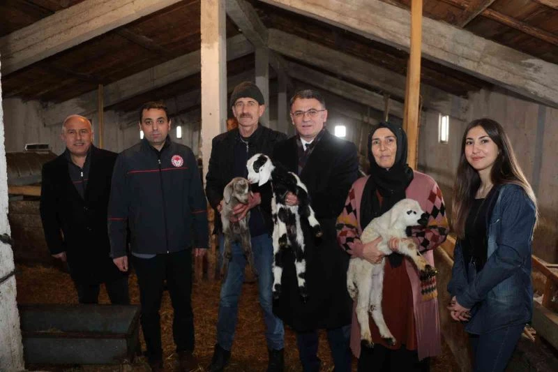 Tokat’ta 2 yılda 912 çiftçi sürü sahibi oldu
