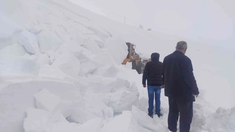 Bingöl’de yol açıldığı sırada çığ düştü
