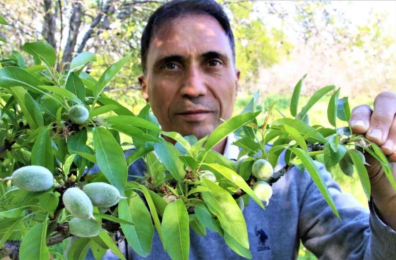 Erkenci bademler çıktı, diğer ağaçlar çiçek açtı
