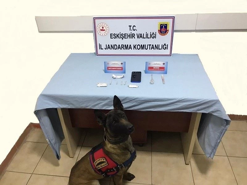 Otomobilde saklanan uyuşturucu maddeyi narkotik köpek ’Alfa’ buldu
