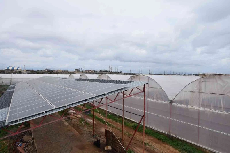 Hibe desteğiyle sera kurdu, ürettiği elektriğin fazlasını satmaya başladı
