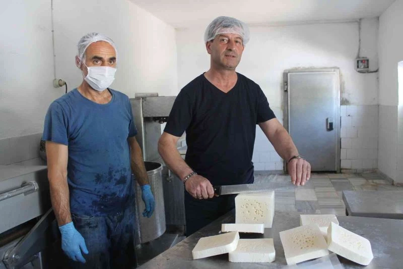 Manyas kelle peyniri İstanbul peynir fuarında tanıtılacak
