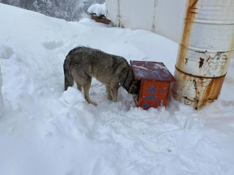 Karda kışta unutulmadılar
