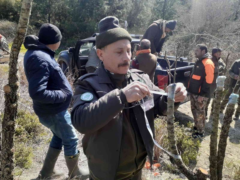 Yabani hayvanlar için verimsiz meyve ağaçları aşılandı
