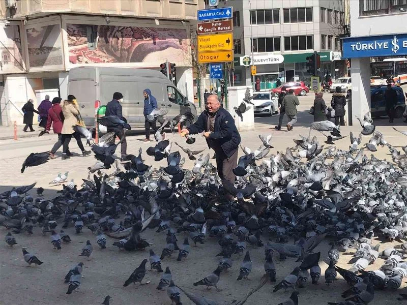 Güvercinlerin arasında yapılan besleme görenleri gülümsetti
