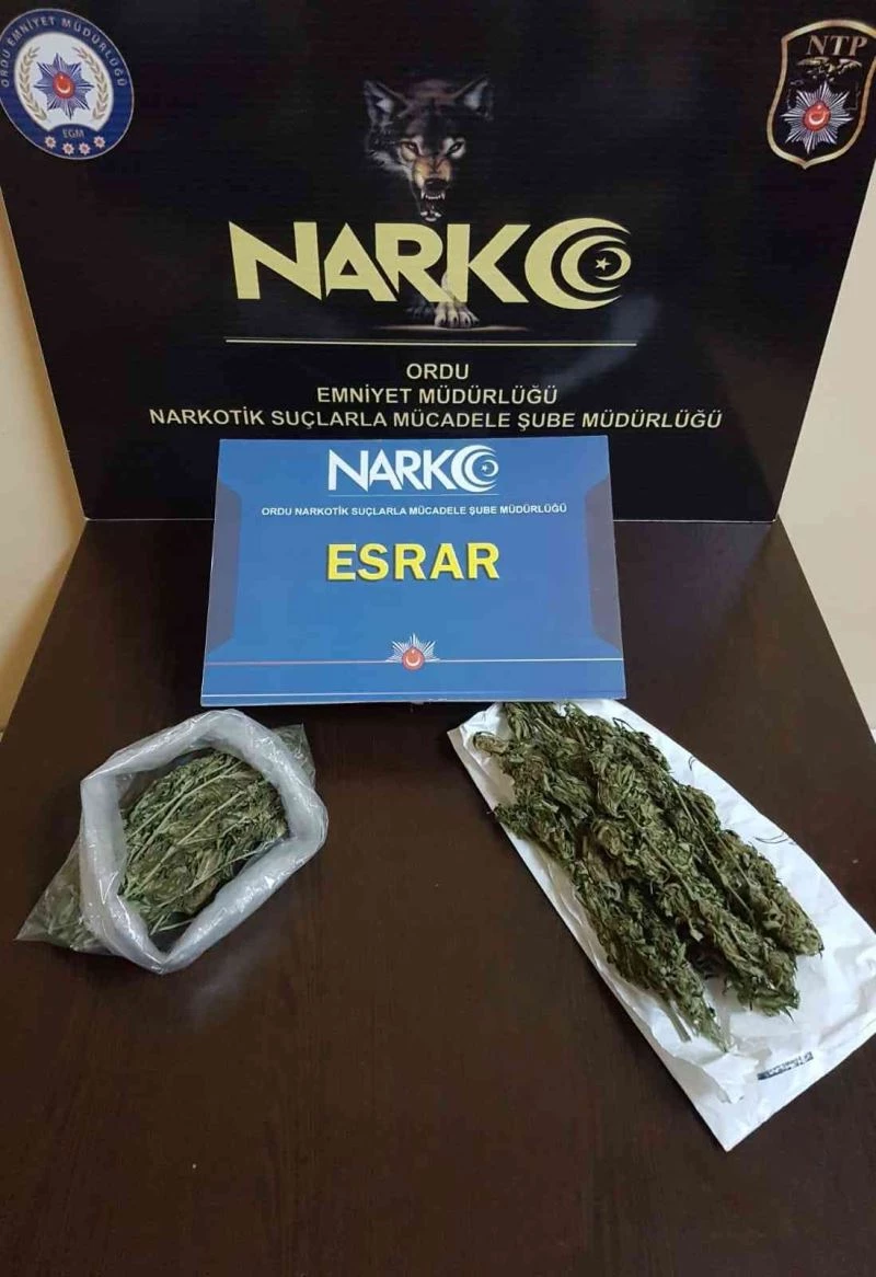 Ordu’da torbacılara aman yok
