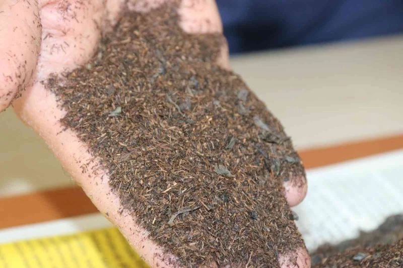 Zabıta ekipleri gelen ihbarı değerlendirdi, sahte çay paketlerinde talaş çıktı
