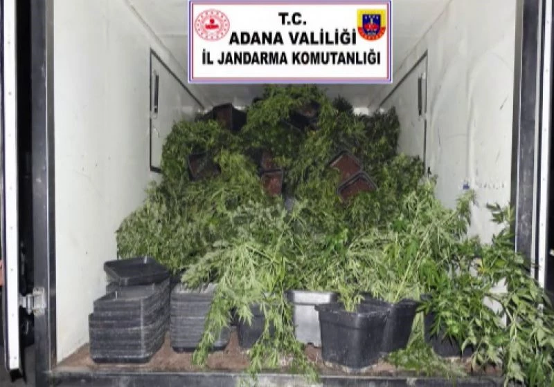İklimlendirme sistemi ile skunk bitkisi yetiştiren şüpheli yakalandı
