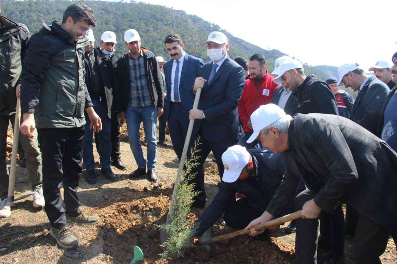 Bozyazı’da fidan dikim etkinliği
