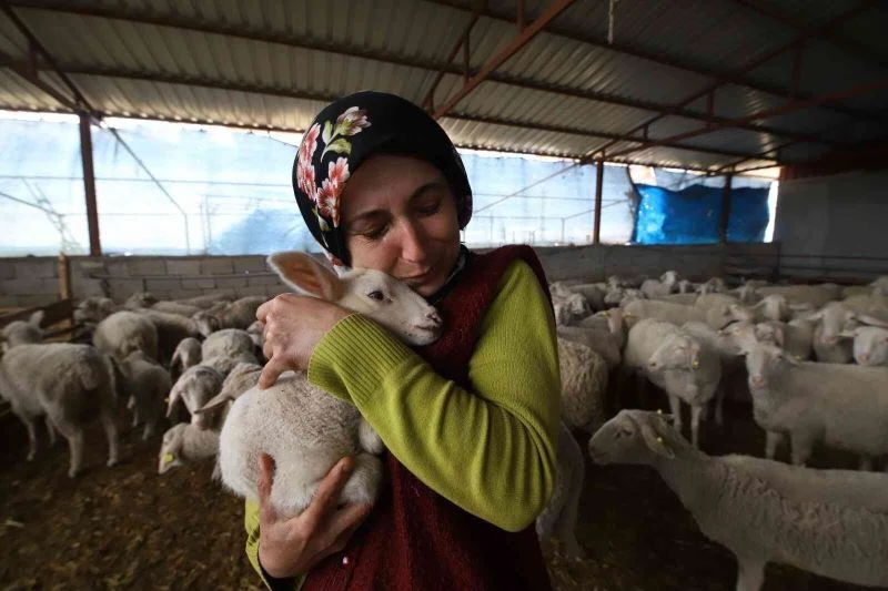 Yolu kapatılan besici kadın hayvanları için gözyaşlarına boğuldu
