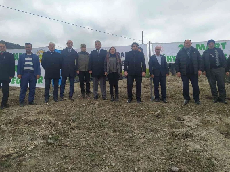 Vezirköprü’de 36 bin 950 fidan toprak ile buluşacak
