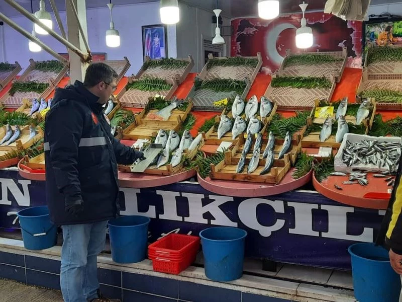 Saray’da göletler ve balıkçılar denetlendi

