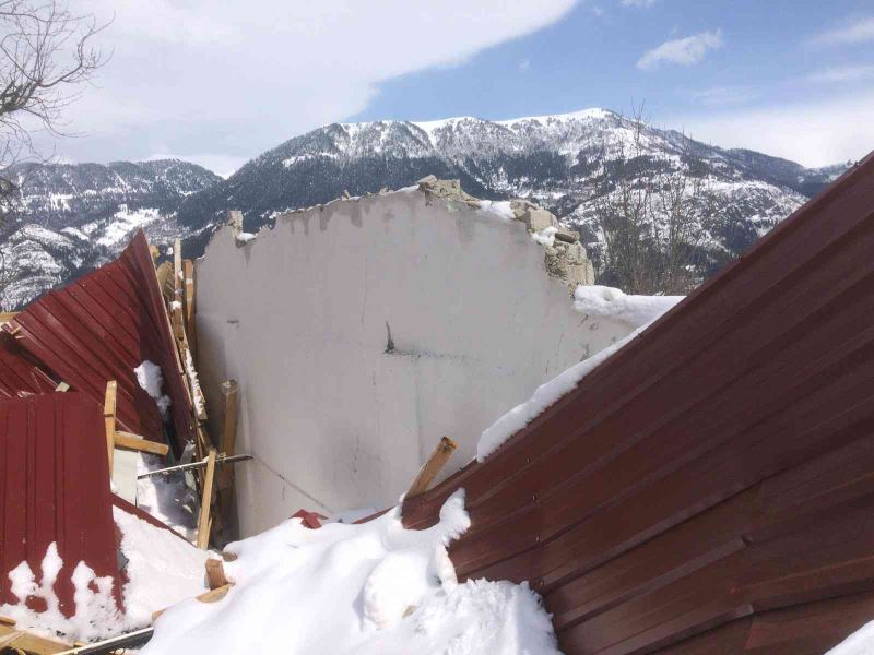 Artvin’de kar yağışı nedeniyle 5 besi ahırın çatısı çöktü

