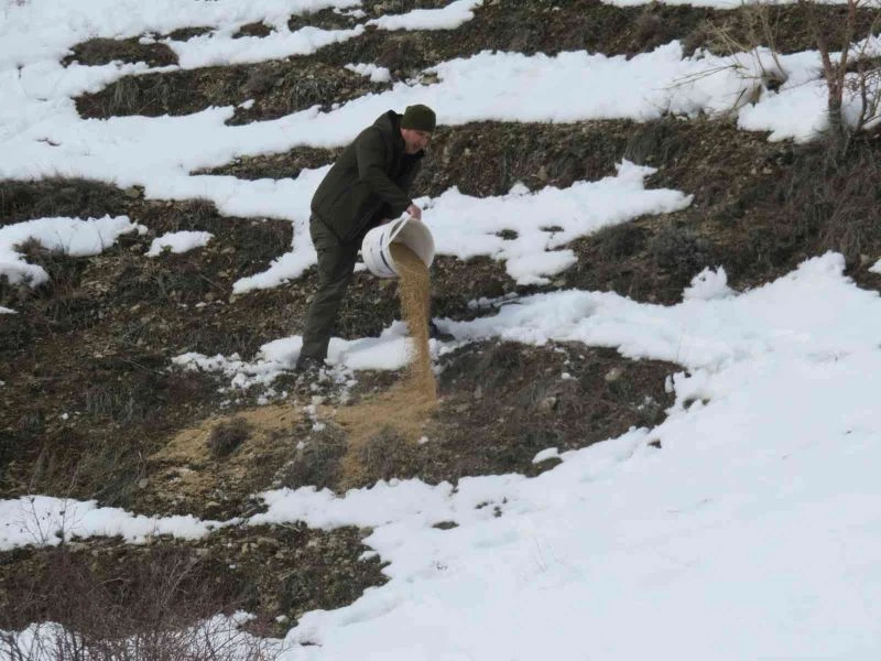 Bayburt’ta yaban hayvanları unutulmuyor
