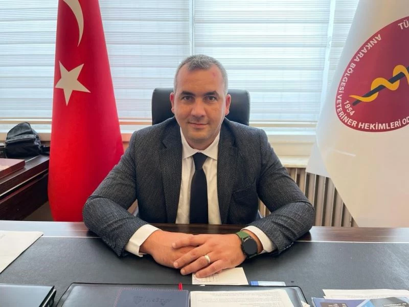 Ankara Bölgesi Veteriner Hekimler Odası’ndan dişi hayvanların kesiminin durdurulması talebi
