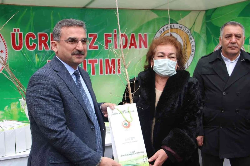 Elazığ’da üreticilere 6 bin 500 dut fidanı dağıtıldı
