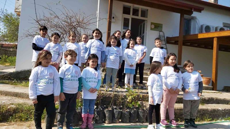 Öğrenciler Datça’da 25 adet harnup fidanı dikti
