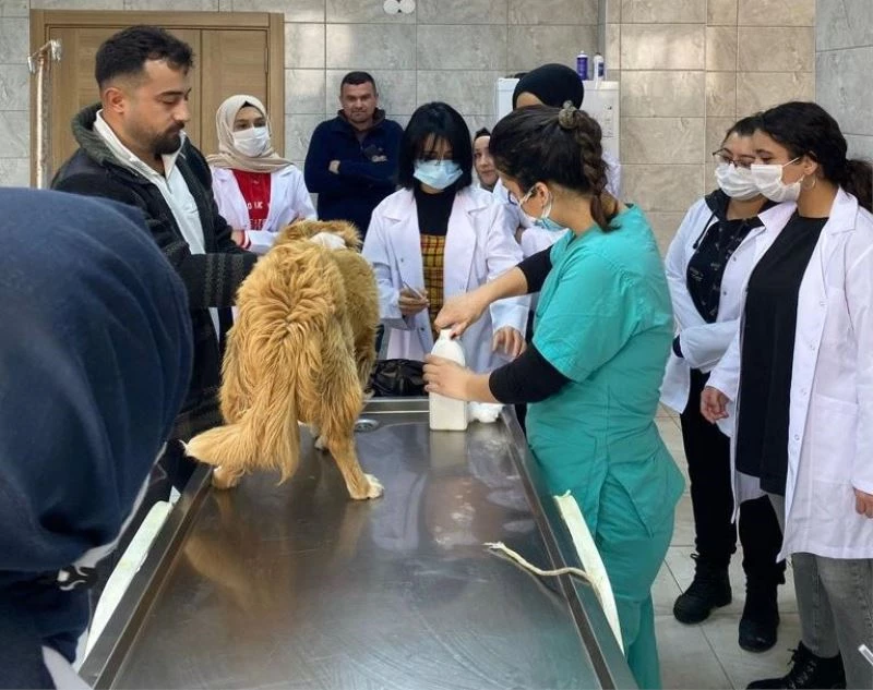 Rehabilitasyon merkezinde öğrenciler ders görecek
