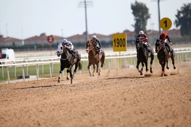 Türkiye Jokey Kulübünün Adana