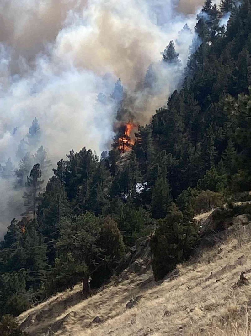 ABD’nin Colorado eyaletinde orman yangını nedeniyle 19 bin kişi tahliye edildi
