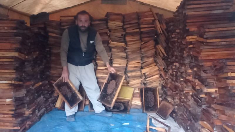 Adana’da 500 kovandaki binlerce arı telef oldu
